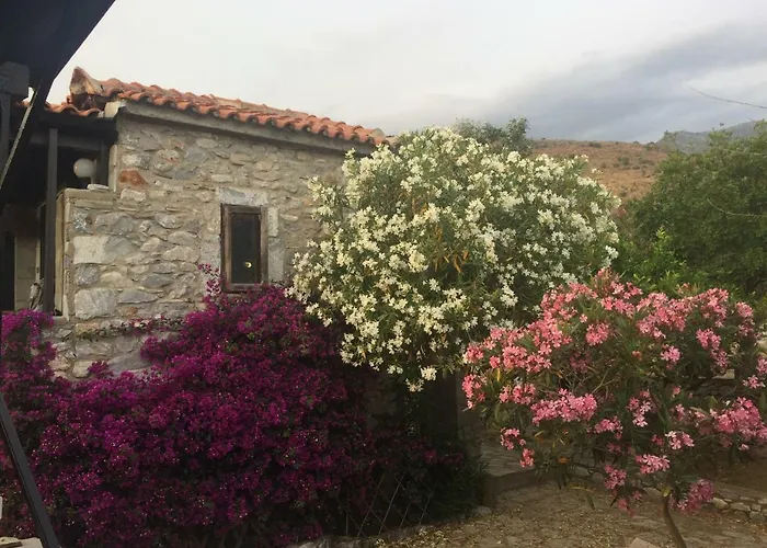 Lagadi 1860 Landsted Trakhila